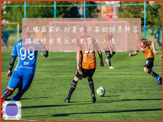无缘国家队却身价不菲的球员阵容揭晓特尔恩瓦内里等人入选